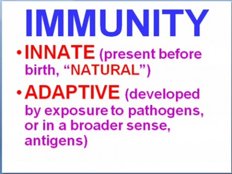 Choroby układu immunologicznego - patomorfologia - część 6a