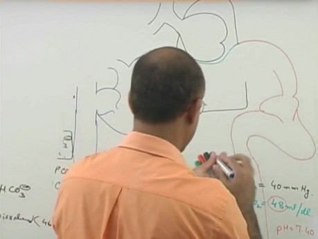 Transport CO2 5/6 - fizjologia oddychania - USMLE Step 1