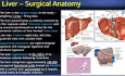 Liver - Abscess & Tumour