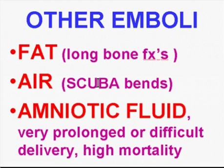 Zaburzenia hemodynamiczne, choroba zakrzepowo-zatorowa i wstrząsy - patomorfologia - część 4i