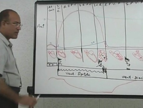 Cykl pracy serca 8/8 - fizjologia serca - USMLE Step 1