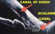Kanał Schlemma a kanał nosowo-łzowy - połączenie