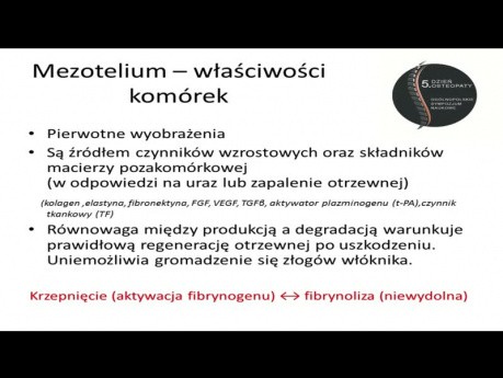 Diagnostyka i terapia zrostów wewnątrzbrzusznych w aspekcie evidence based medicine   