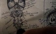 Pień mózgu - neuroanatomia - samouczek - 15