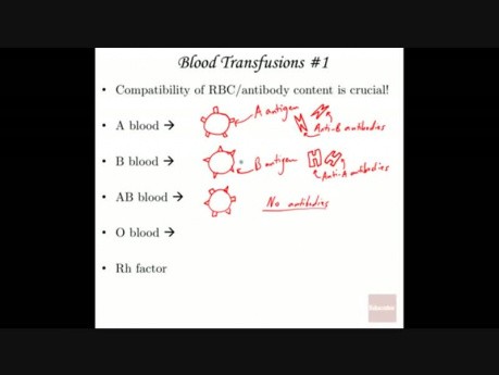 Fizjologia krwi
