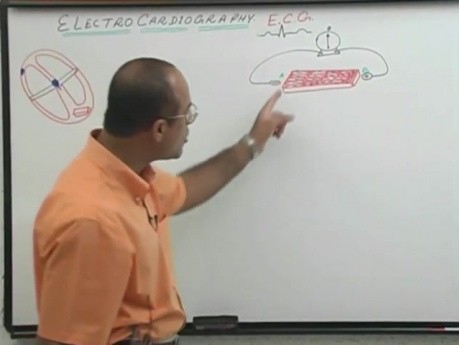 Interpretacja EKG 3/20 - fizjologia serca - USMLE Step 1