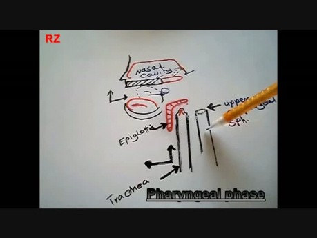 Fizjologia przewodu pokarmowego - odruch połykania