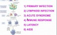 Choroby układu immunologicznego - patomorfologia - część 6i