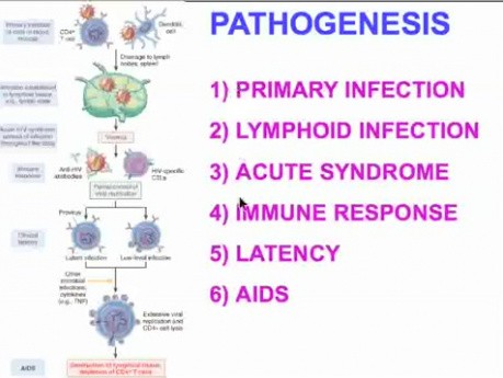 Choroby układu immunologicznego - patomorfologia - część 6i
