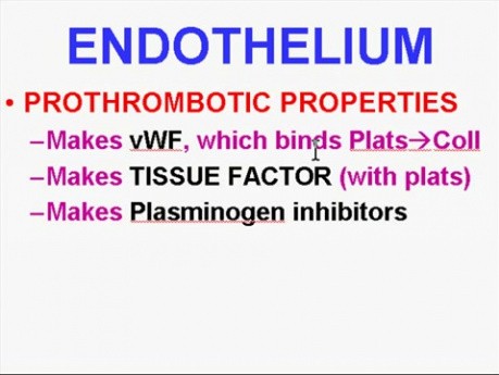 Zaburzenia hemodynamiczne, choroba zakrzepowo-zatorowa i wstrząsy - patomorfologia - część 4e