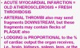 Zaburzenia hemodynamiczne, choroba zakrzepowo-zatorowa i wstrząsy - patomorfologia - część 4h