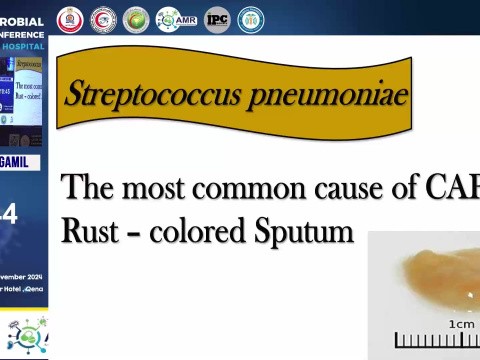Pulmonology