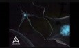Neurotransmisja: animacja 3D