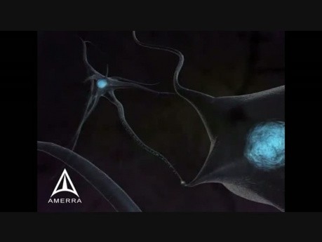 Neurotransmisja: animacja 3D