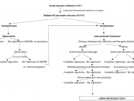 Algorytm postępowania terapeutycznego u chorych z martwicą trzustki