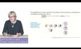 Inhibitory SGLT2 – historia dzieje się na naszych oczach