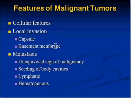 Neoplazja - patomorfologia - część 7e