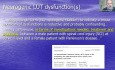 Identification and Treatment of High-Risk Neurogenic Bladder