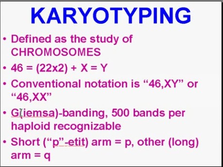 Choroby genetyczne - patomorfologia - część 5e