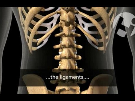 Wzrost kości i mechanika kręgosłupa